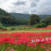 ヒメ日記 2026/09/25 17:43 投稿 Mikoto Hanabusa ELEGANT－エレガント－