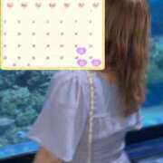 ヒメ日記 2026/08/17 10:07 投稿 歩美【あゆみ】 丸妻 西船橋店