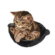 ヒメ日記 2026/10/21 13:35 投稿 りお 栃木宇都宮ちゃんこ