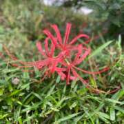 ヒメ日記 2026/09/09 18:31 投稿 芹（セリ） アバンチュール(五反田)