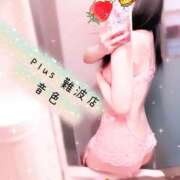 ヒメ日記 2026/10/12 12:35 投稿 音色(ねいろ) PLUS難波店