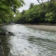 ヒメ日記 2026/08/12 13:51 投稿 ひかり 熟女の風俗最終章 宇都宮店