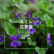 ヒメ日記 2026/09/02 09:49 投稿 すみれ おいしい奥様