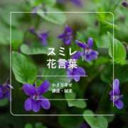 ヒメ日記 2026/09/02 09:56 投稿 すみれ おいしい奥様