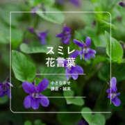 ヒメ日記 2026/10/18 10:16 投稿 すみれ おいしい奥様