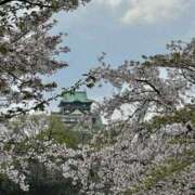 ヒメ日記 2025/04/17 16:51 投稿 アリス 快楽玉乱堂