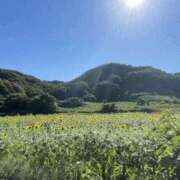 ヒメ日記 2025/07/29 16:26 投稿 アリス 快楽玉乱堂