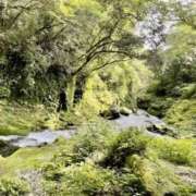 ヒメ日記 2025/09/02 10:16 投稿 アリス 快楽玉乱堂