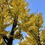 ヒメ日記 2025/11/29 10:26 投稿 アリス 快楽玉乱堂