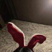 アリス アリス 快楽玉乱堂