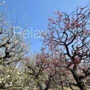 ヒメ日記 2026/02/26 22:06 投稿 アリス 快楽玉乱堂