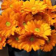 ヒメ日記 2026/08/09 23:44 投稿 花梨(かりん) PLUS難波店