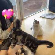 うる ねこにゃん One More 奥様　錦糸町店