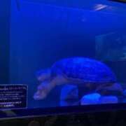 ヒメ日記 2026/09/10 23:48 投稿 蛍(ほたる) モアグループ厚木人妻城