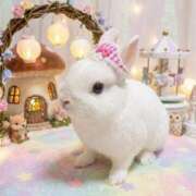 夏目みゆき おはようございます◝☆ お姉さんCLUB