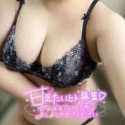 ヒメ日記 2026/08/09 21:29 投稿 くらら 兵庫姫路・加古川ちゃんこ