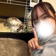 ヒメ日記 2026/09/08 23:34 投稿 心/Kokoro ジュリエット