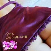 すい こんにちは 熟女総本店 堺東店