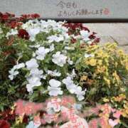 ヒメ日記 2026/08/24 12:52 投稿 すい 熟女総本店 堺東店