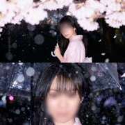 ヒメ日記 2026/10/05 09:10 投稿 ナギサ ミセスClub