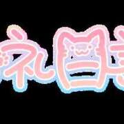 ヒメ日記 2026/09/01 17:30 投稿 しずく コレクション