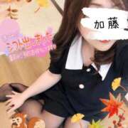 加藤 次の出勤予定のお知らせ😌🌼*･ 熟女の部屋