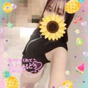 新人せら 夏の 、、、、 奥様メモリアル