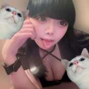 ねこ 🎀  フェ♡だけで絶頂迎えちゃうかもよ？ the SPA KADOEBI