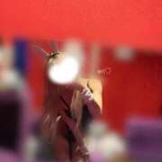 ヒメ日記 2026/08/25 22:31 投稿 エリ ドMなバニーちゃん大宮店