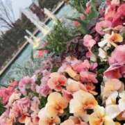 ヒメ日記 2026/08/11 15:25 投稿 瀬菜(せな) グランドオペラ横浜