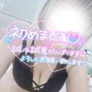 ヒメ日記 2026/08/17 08:15 投稿 まなこ モアグループ神栖人妻花壇