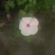 ヒメ日記 2026/09/27 05:44 投稿 まい The White（ザ ホワイト）