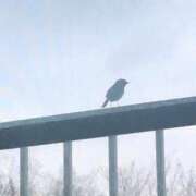ヒメ日記 2026/08/15 10:40 投稿 えり Beppin house