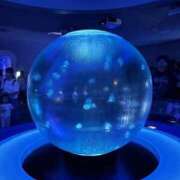 ヒメ日記 2026/09/15 13:30 投稿 なのは 渋谷さーくる