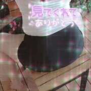 ヒメ日記 2026/08/19 00:39 投稿 なつ 即アポ奥さん ～津・松阪店～