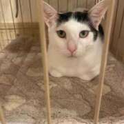 ヒメ日記 2026/09/11 11:29 投稿 のりか 五反田サンキュー