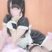 ヒメ日記 2026/09/11 23:50 投稿 ちわわ E+アイドルスクール新宿・歌舞伎町店