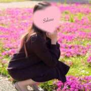 ヒメ日記 2026/08/15 11:57 投稿 Sakura ワンカラット～人妻の輝き～