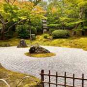 ヒメ日記 2026/09/05 11:22 投稿 なつみ セクシーキャット 神田店