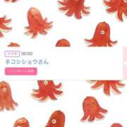 ノア 💎みたよシンデレラ 川崎美女革命