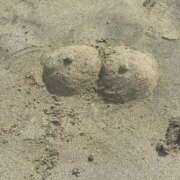 ヒメ日記 2026/08/21 06:22 投稿 てん プロフィール 岡山店