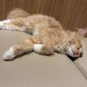 ひかり しゅっきん‼️ かりんと吉祥寺