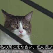 ヒメ日記 2026/09/03 09:30 投稿 まりあ カルテデイズ新宿