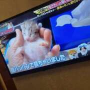 ヒメ日記 2026/09/30 22:50 投稿 ヴィクトリア NEW GENERATION