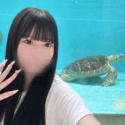 ヒメ日記 2026/09/14 12:13 投稿 はるか コーチと私と、ビート板･･･