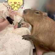 ヒメ日記 2026/09/17 12:14 投稿 はるか コーチと私と、ビート板･･･