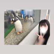 ヒメ日記 2026/09/20 12:05 投稿 はるか コーチと私と、ビート板･･･