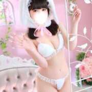 ヒメ日記 2026/08/20 12:23 投稿 モカ MEGA PALACE(メガパレス）