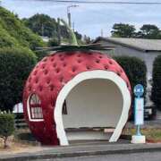 ヒメ日記 2026/08/25 10:33 投稿 ランカ ドMな奥様 名古屋・錦店