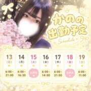ヒメ日記 2026/09/12 15:14 投稿 かの 新宿プチドール